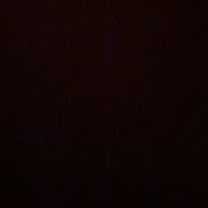 Meet your Posher, Gisselle